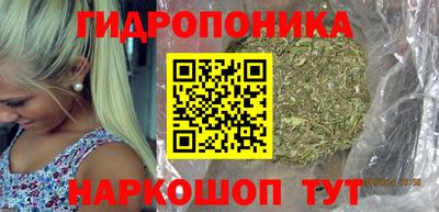 a pvp Пушкино